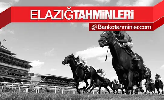 elazig at yarışı tahminleri