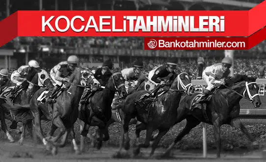 kocaeli altılı tahminleri