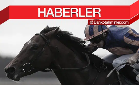 at yarışı haberleri