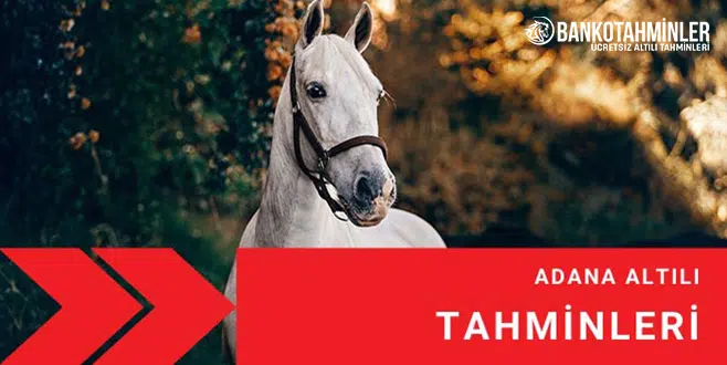 ADANA ALTILI GANYAN TAHMİNLERİ