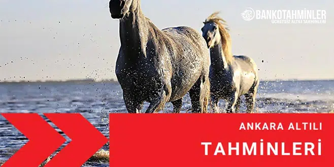 ankara altili tahmin