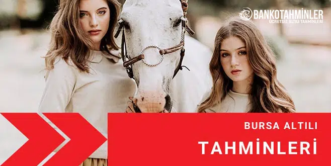 AT YARIŞI TAHMİNLERİ