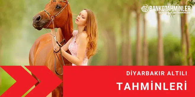 diyarbakir at yarisi tahminleri
