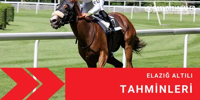 elazig at yarisi tahminleri