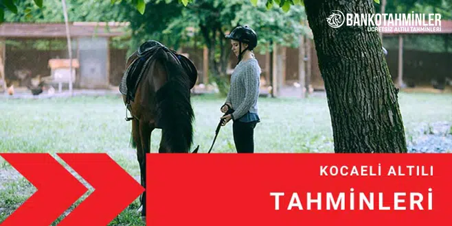 kocaeli altılı tahmin