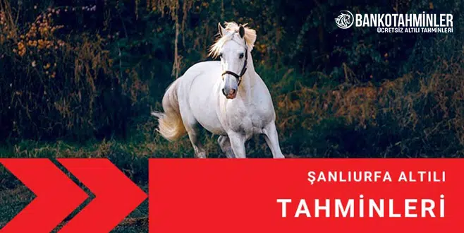sanliurfa at yarisi tahminleri