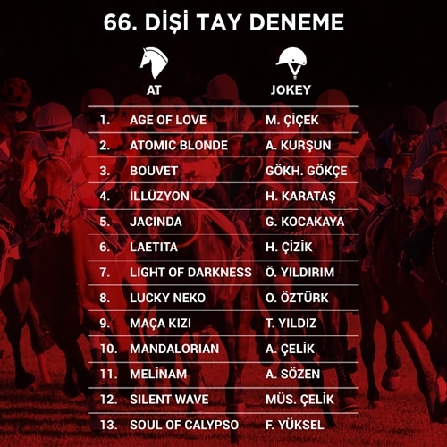 TAY DENEME