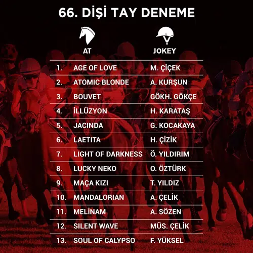 TAY DENEME