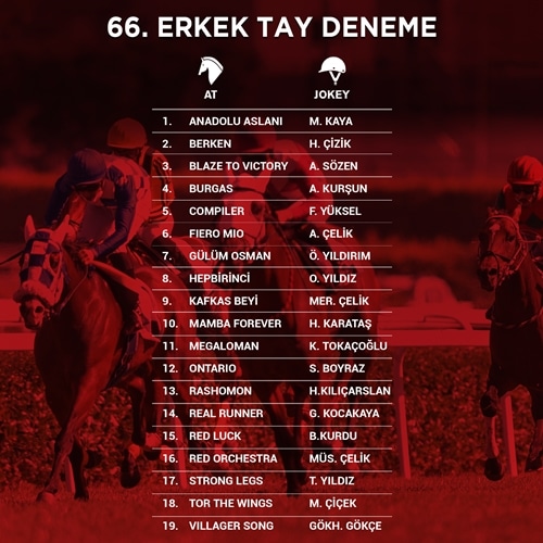 ERKEK TAY DENEME