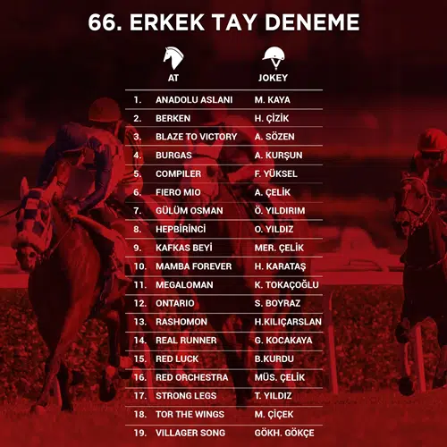 ERKEK TAY DENEME