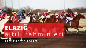 elazığ altılı tahminleri