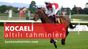 kocaeli altılı