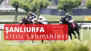 urfa altılı tahminleri