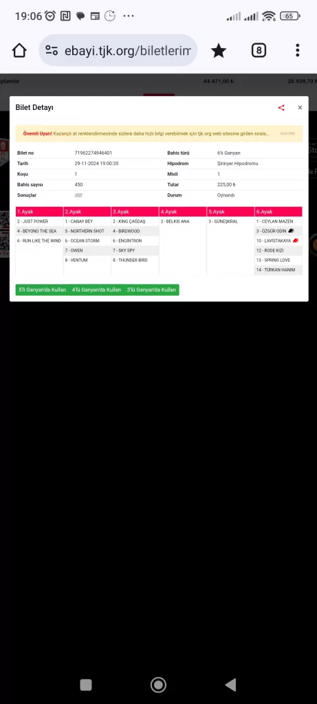 Screenshot_2024-11-29-19-06-57-712_com.android.chrome