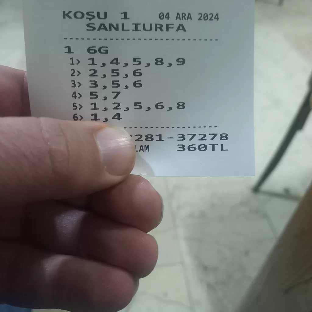 17333207491958435732374240550693