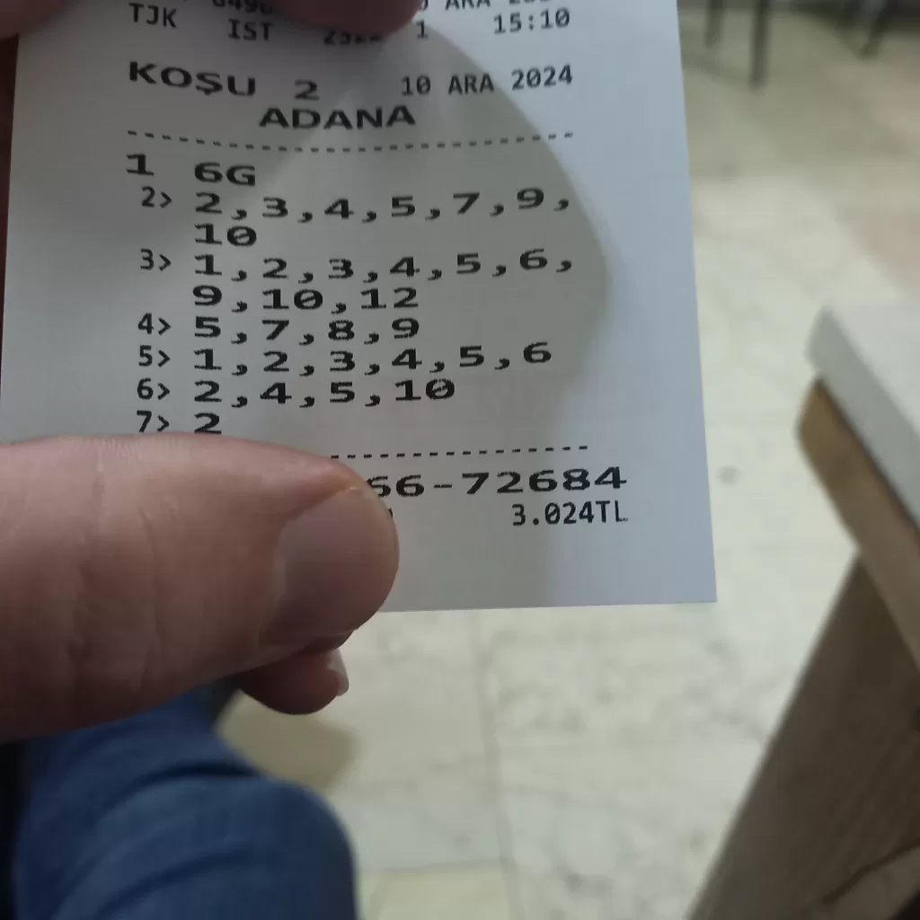 17338331007381878458374498750254