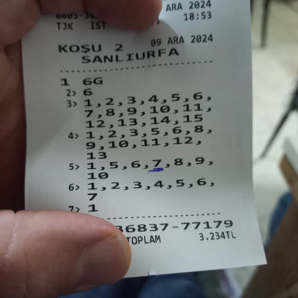 20241209_185812