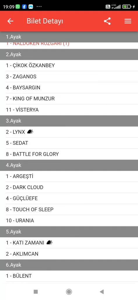 Screenshot_2025-02-20-19-09-56-831_mobi.tjk_.TJKMobil