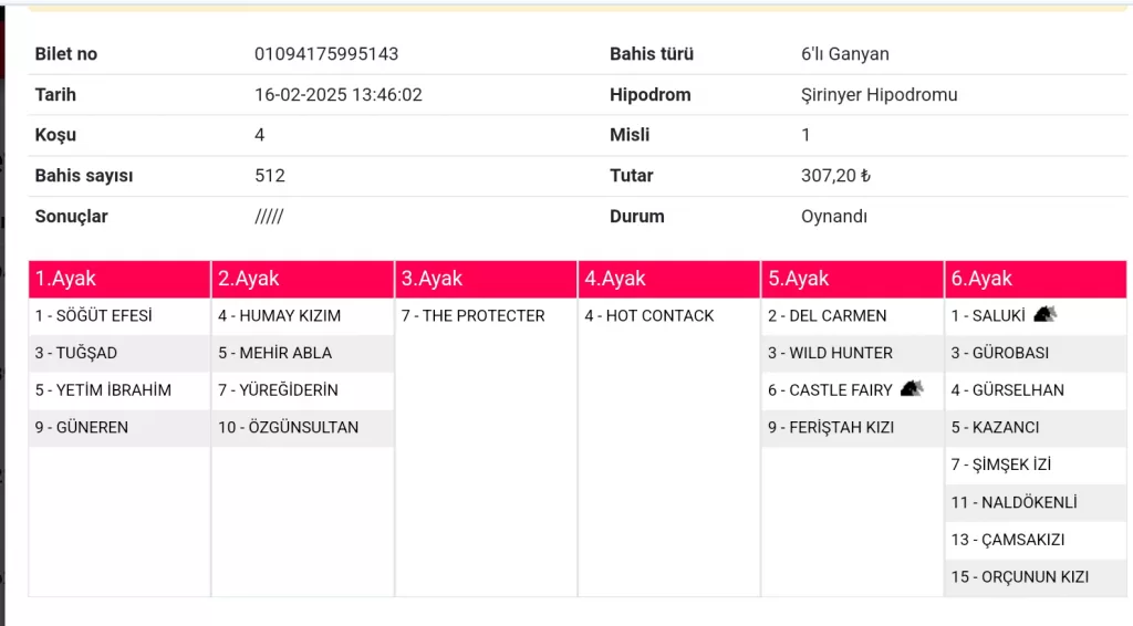 Screenshot_20250216_134748_Chrome