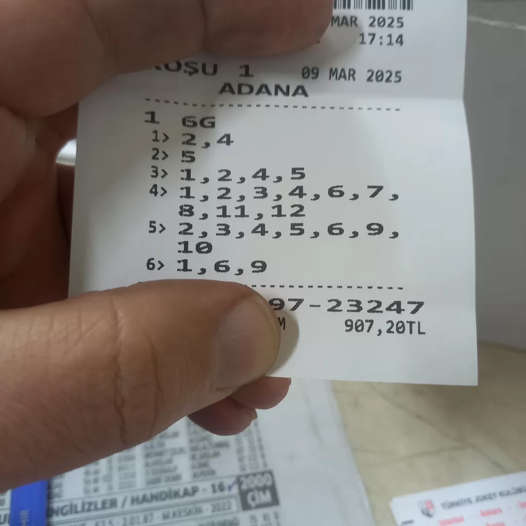 1741529838135496503499882158301