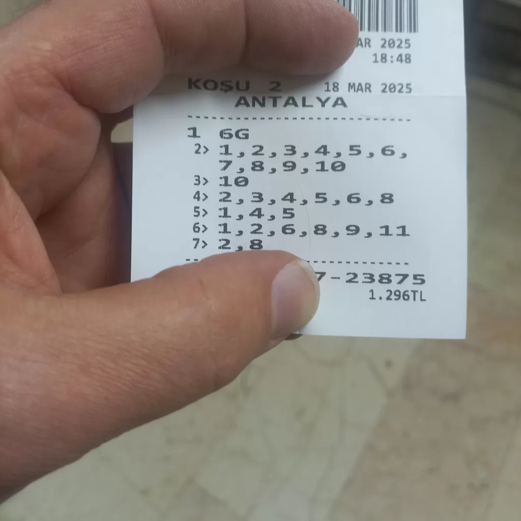 1742313418628163288178551748851