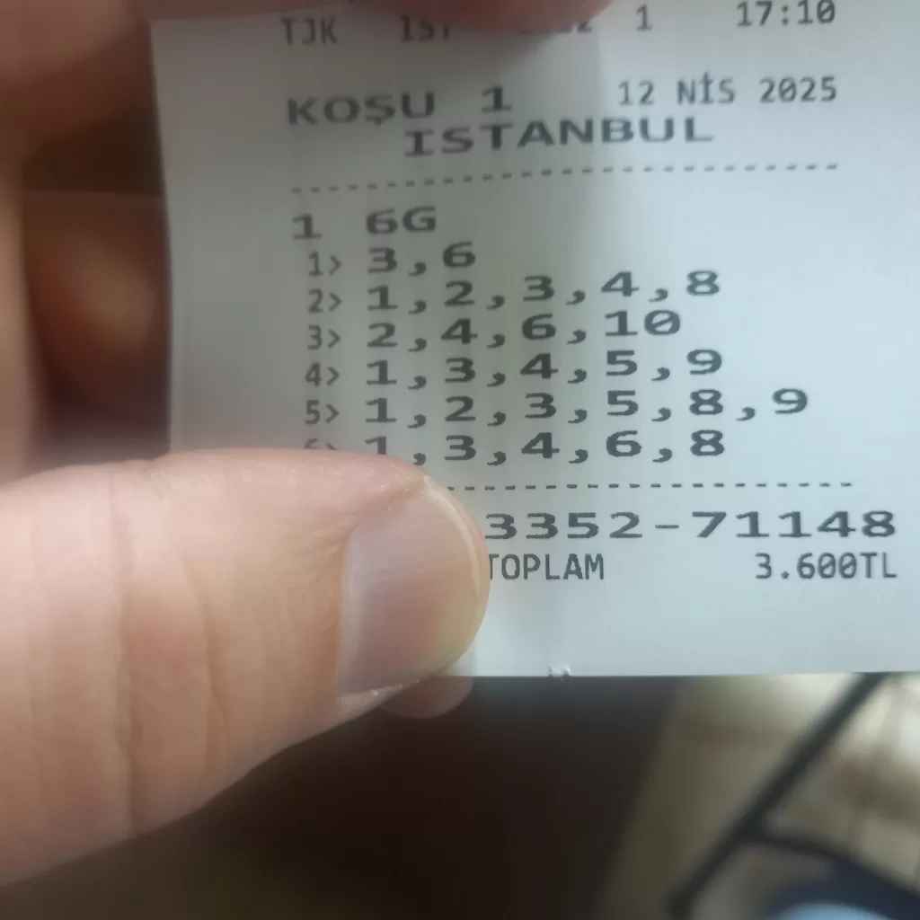17444671119171390156513569704740