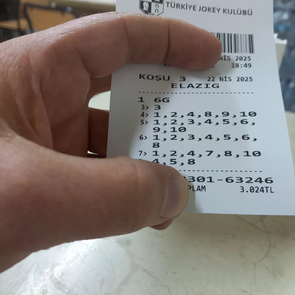 1745337301355391308246269383594