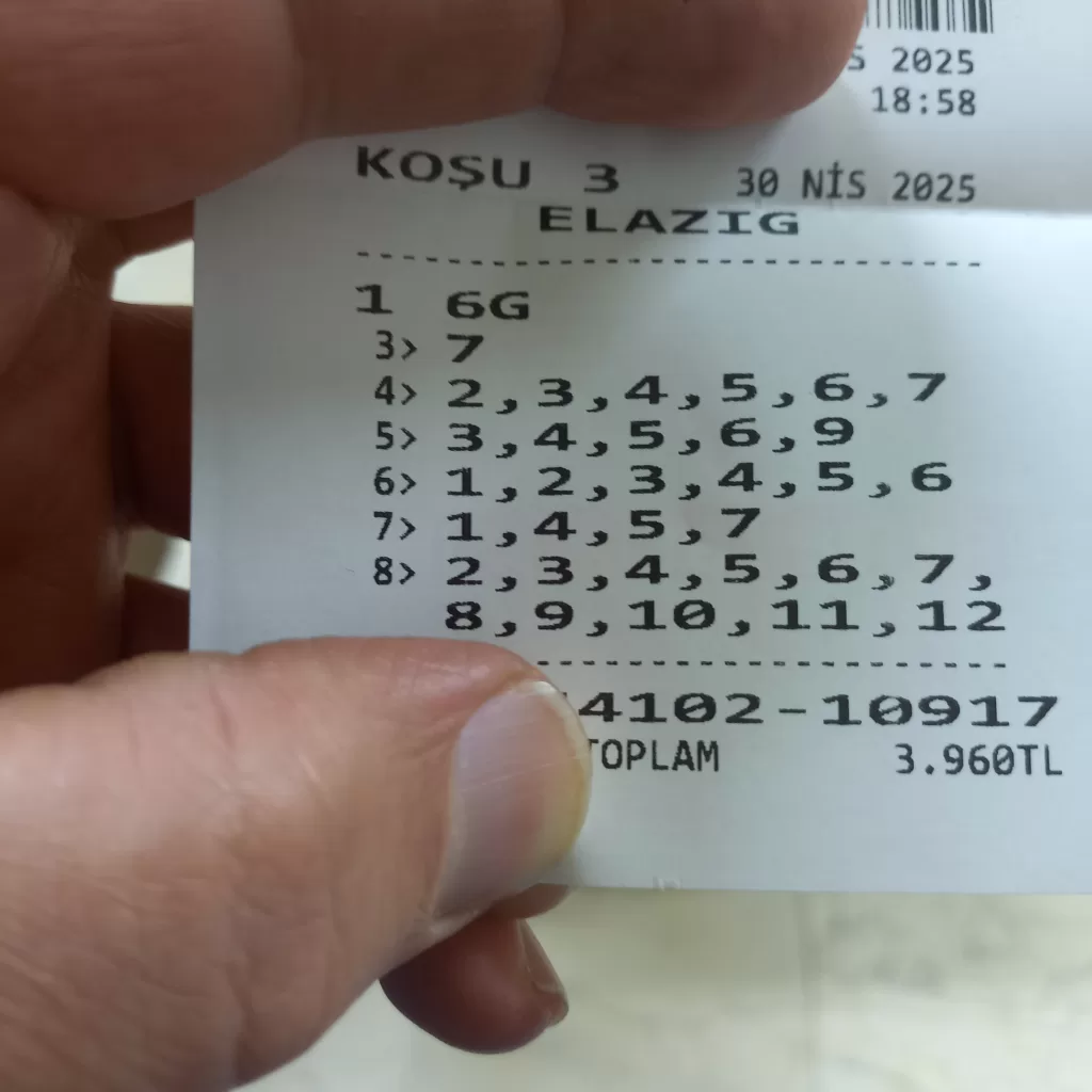 17460301620002418924276270982784