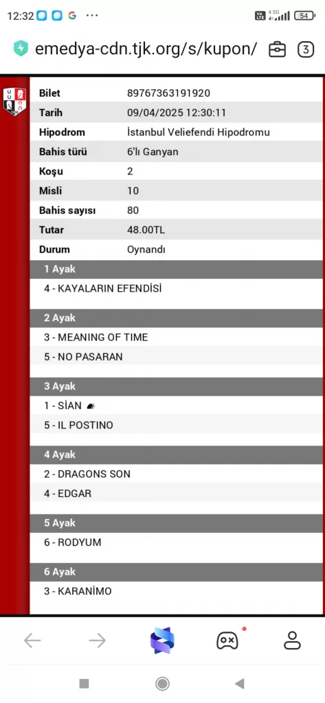 Screenshot_2025-04-09-12-32-02-961_com.mi_.globalbrowser