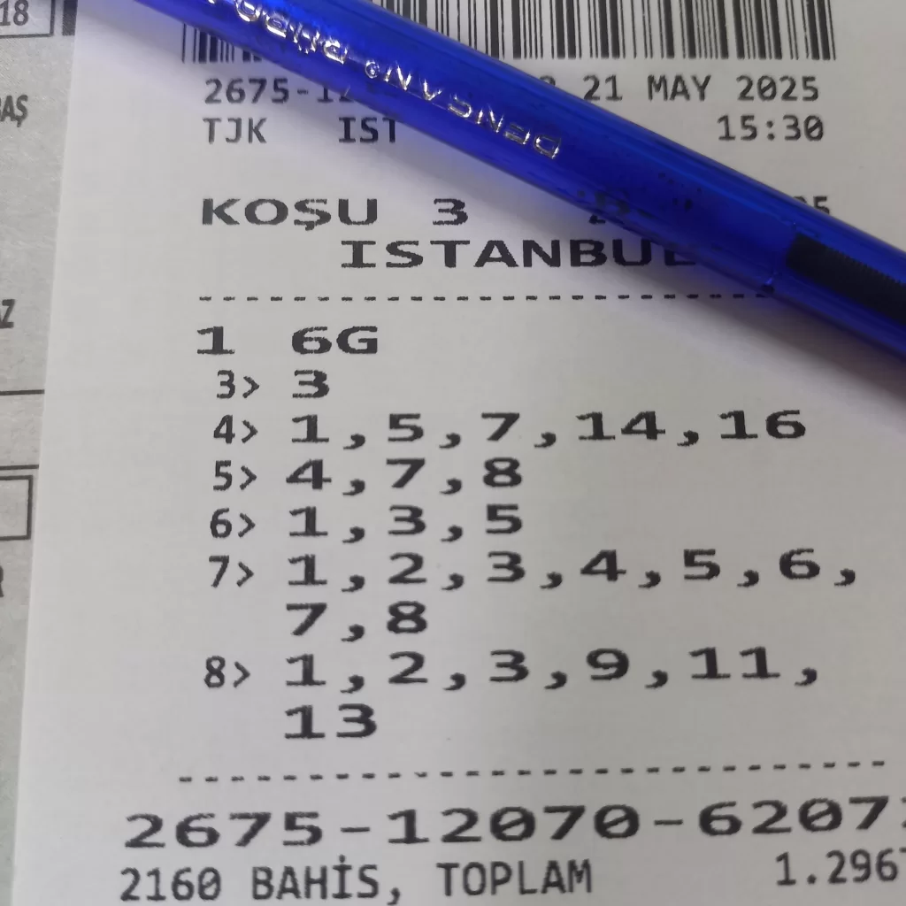 17478311880375774810197171938454