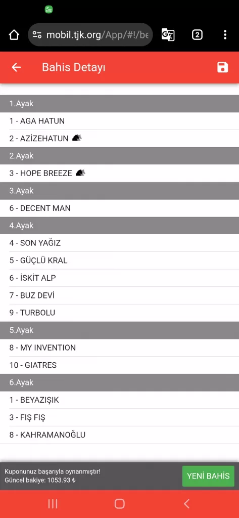 Screenshot_20250504-135838_Chrome