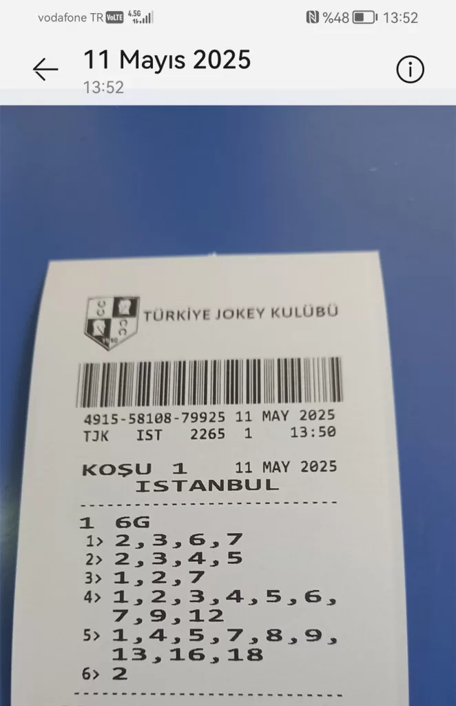 Screenshot_20250511_135310