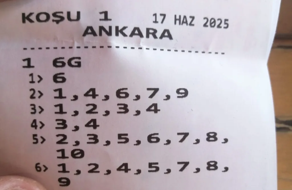 Screenshot_20250617_134136