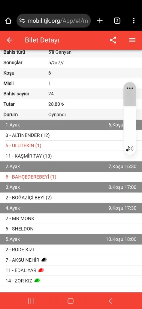 Screenshot_20250630-171213_Chrome