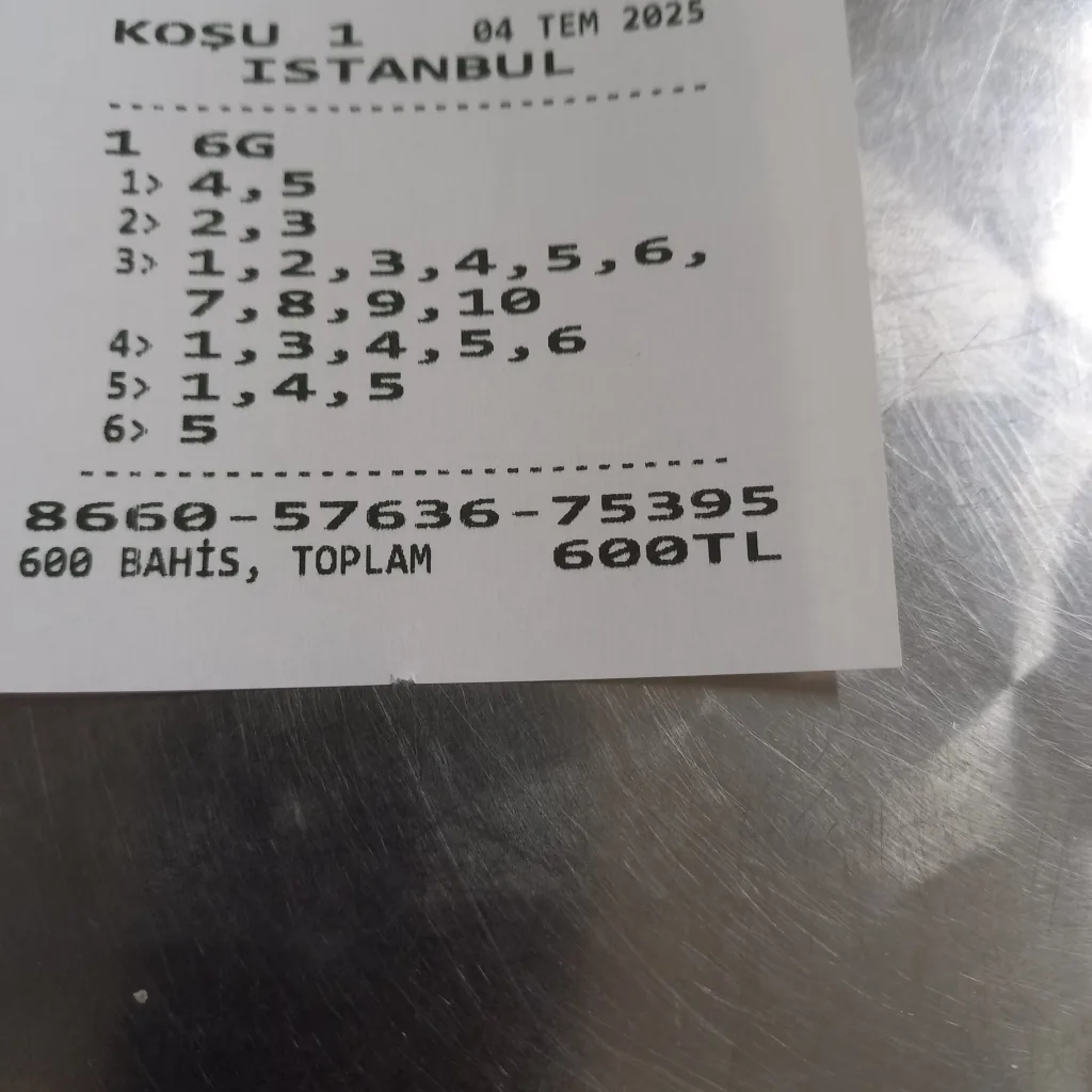 17516403049341221421158717847702