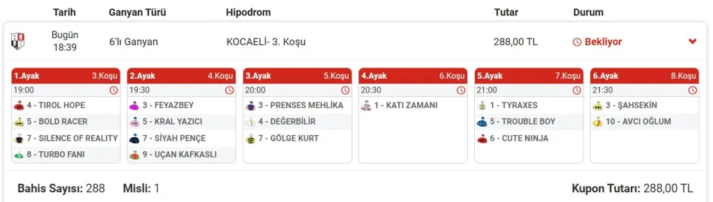 Ekran-goruntusu-2025-07-01-184008