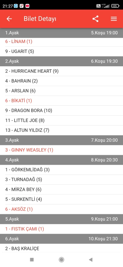 Screenshot_2025-07-11-21-27-58-851_mobi.tjk_.TJKMobil