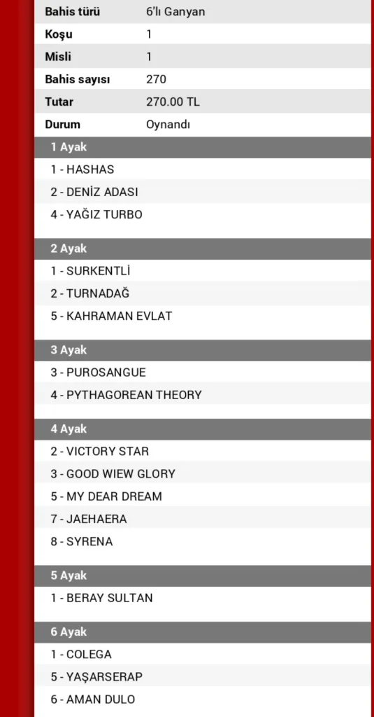 Screenshot_20250824_132904_Chrome