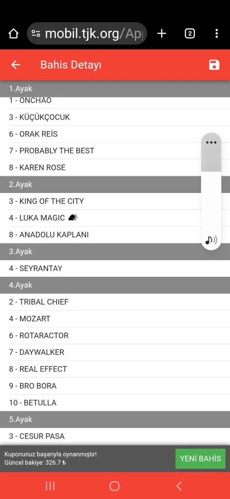 Screenshot_20251112-191526_Chrome