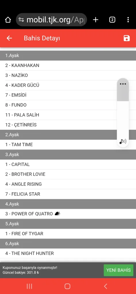 Screenshot_20251118-153318_Chrome