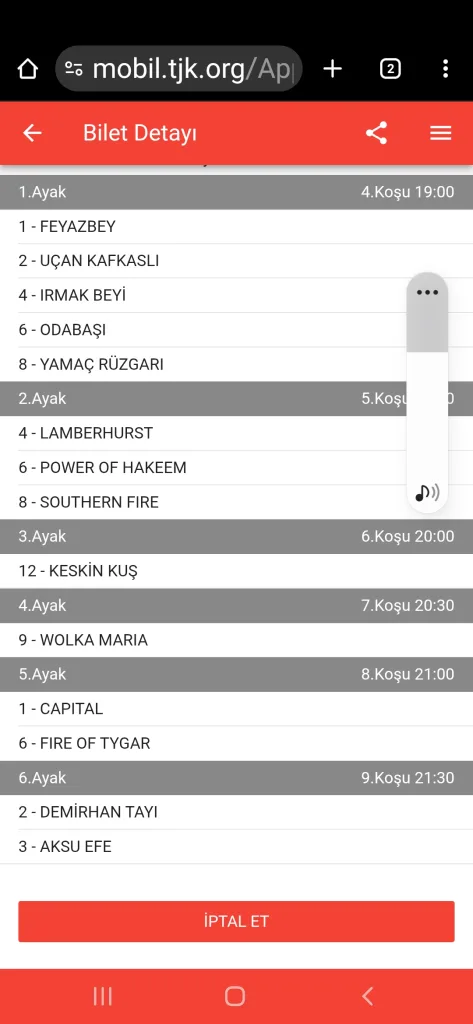 Screenshot_20251220-185203_Chrome