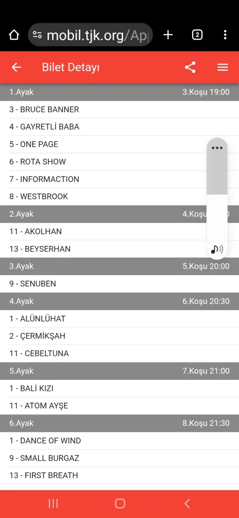 Screenshot_20251229-185940_Chrome