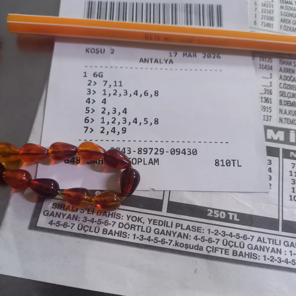 17737632523537381123322506420549